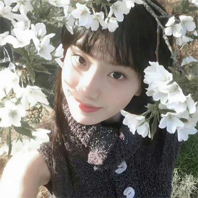 您的老鼠好友